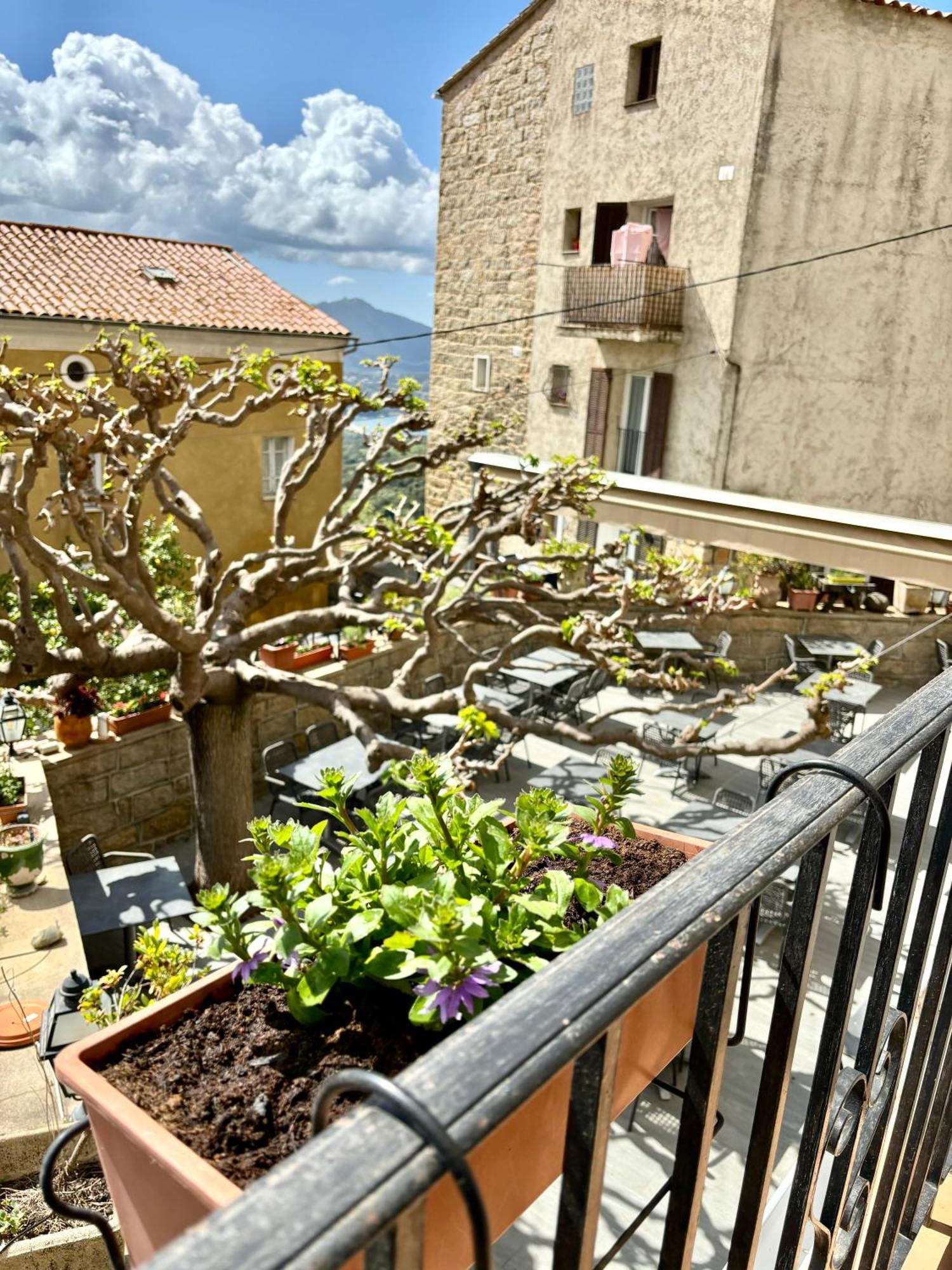 Hoetel U Santa Maria Olmeto  Chambre photo